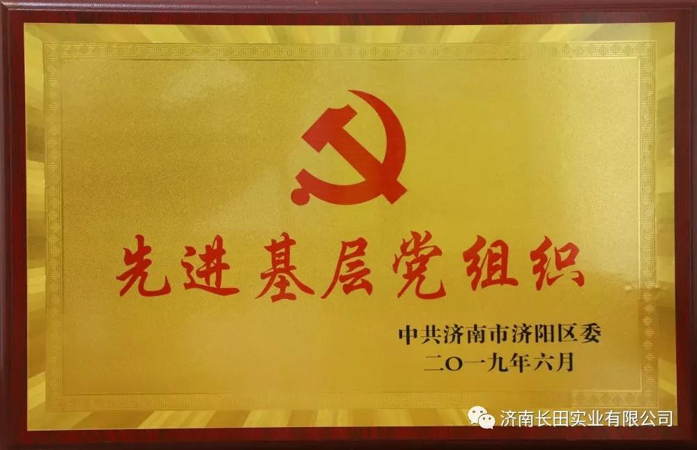 用榮譽(yù)向黨獻(xiàn)禮—長田實業(yè)黨支部榮獲“先進(jìn)基層黨組織”榮譽(yù)稱號